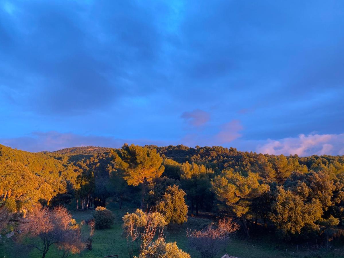 Les-Pepites-De-Badou Presentent La Graviere Le Barroux エクステリア 写真